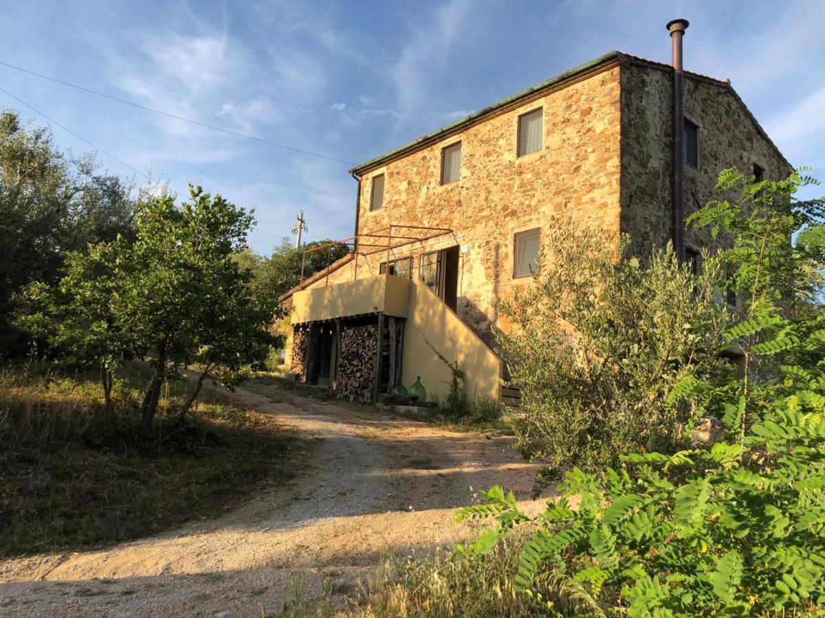 Villa Operaviva Suvereto Exterior foto